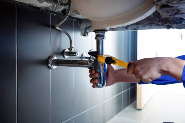 Best Garbage Disposal Repair and Installation  in West Blocton, AL